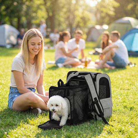 Cage de transport extensible pour chien, avec 5 poches et bande réfléchissante, pour chiens jusqu'à 10 kg, 33,5 x 28 x 42 cm, gris clair (1/5)