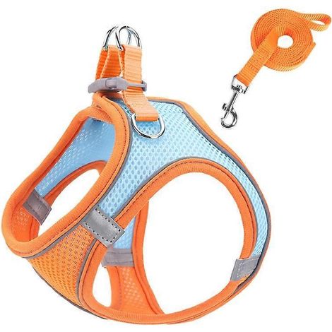 Ensemble harnais et laisse pour petits chiens et chats, anti-traction, gilet de dressage réfléchissant - L - Orange Vitalité (1/5)