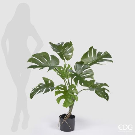 EDG Enzo De Gasperi Monstera Pianta Artificiale con Vaso da Interno ed Esterno H100 cm (1/3)