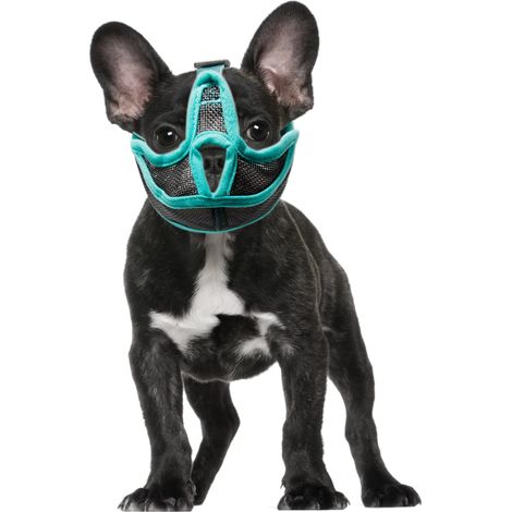 Muselière pour Chien À Museau Court S À XL en Option en Respirante pour Mordre et Lécher, Muselière Plate pour Bouledogue Français et Carlin (XL) (1/5)