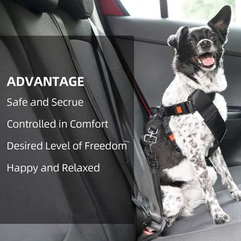 2PCS Ceinture de Sécurité pour chien chat, harnais de ceinture de sécurité réglable avec une poubelle pour les animaux de compagnie (1/4)