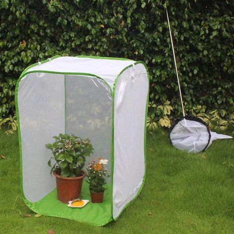 Cage d'Élevage de Papillon Grand - Matériel de Filet de Fil de Polyester, Habitat d'Insecte Ventilé (40  40  60cm) (1/5)