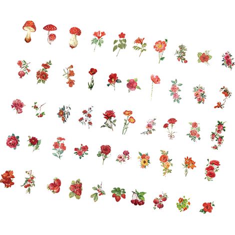Twilight PET-Aufkleber, Serie „Flowers in Bloom: Time to Die“, 100 Blatt zum Dekorieren von Pflanzen- und Blumenjournalen, Blütezeit: Frühsommer. (1/5)