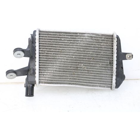 [PRODUIT D'OCCASION] RADIATEUR GAUCHE BMW R GS 1250 2021 - 2024 (1/5)
