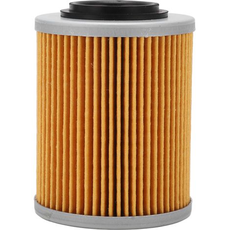 Filtre à huile moteur cylindrique, filtre à carburant de remplacement pour RYKER Ally Edition 900 ACE (1/5)