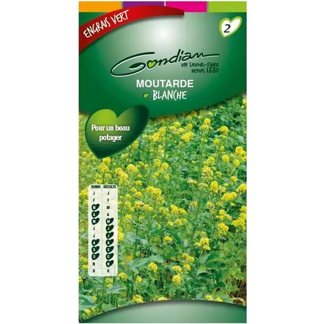 Moutarde blanche Engrais vert 100gr 100m²