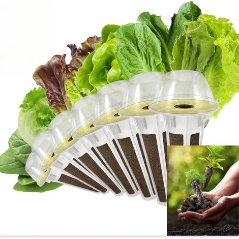 Kit Vgtales Hidropnicos Lechuga (1/5)