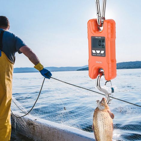 Balance de précision portable 500 kg avec affichage LCD, idéale pour la maison, la ferme, le marché ou la pêche. (1/5)
