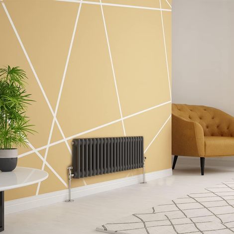 WarmeHaus Traditional Radiator Anthracite Double Panel 300x1010mm