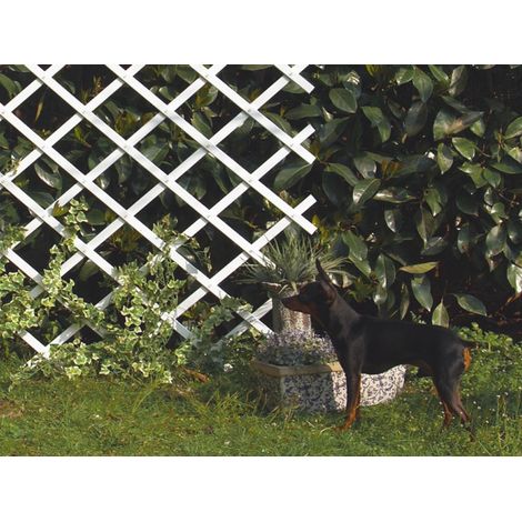 Trelliflex Traliccio in Plastica 1x2m Colore Bianco Profilo di Stecche 22x6mm Nortene (1/4)