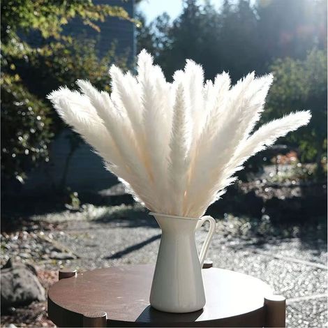Bouquet de Fleurs Séchées - 30 Pièces de Petites Immortelles Reed Bouquet DIY Décorations de Noël blanc (1/4)