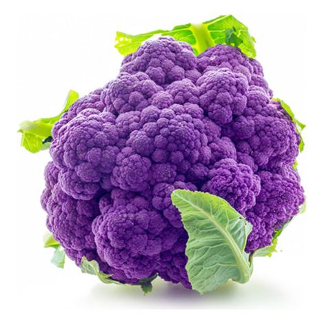 Semi di cavolfiore violetto di Sicilia precoce piante per orto e giardino