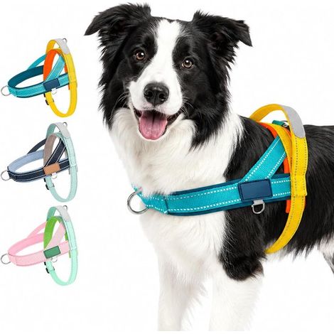Harnais anti-traction pour chien - Bleu/Jaune - Harnais en T réglable taille XL - avec poignée (1/5)