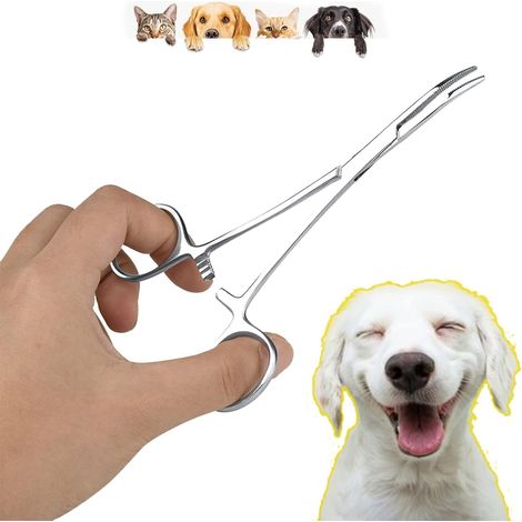 Accesorios para cortapelos de orejas de perro, pinzas de limpieza y tijeras de corte curvas (tamaño grande). (1/5)