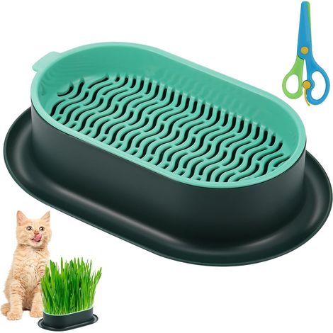 Plateau à graines pour herbe à chat, bac à plantes pour herbe à chat, boîte à herbe à chat, bac de plantation en plastique sans terre pour herbe à chat (1/5)