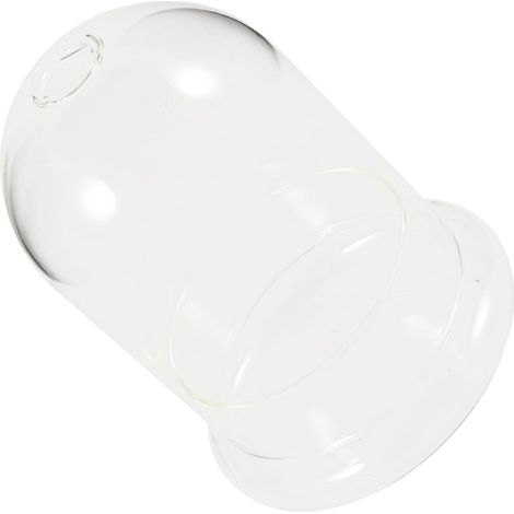 Glasvase für Mikrolandschaften mit Moospflanzenflasche aus