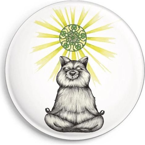 Yoga magnético