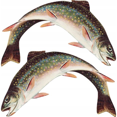 Pegatinas para barcos - 2 x Trucha M