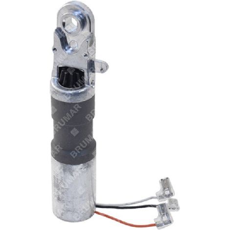Kompletter Motor mit PROGREEN-Ritzel – 057465