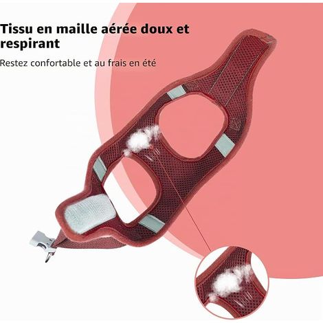 Harnais Chien Anti-Traction, Carreaux Harnais pour Petit Chien avec Laisse Réglable Respirante, Sécurité Réfléchissante pour l'entraînement à la Marche, Rouge XXS (1/4)