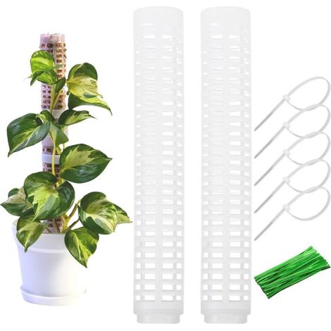 Moossäule für Kletterpflanzen – 2er-Set Rankhilfen für Monstera und Zimmerpflanzen, Gartenrankgitter (1/3)