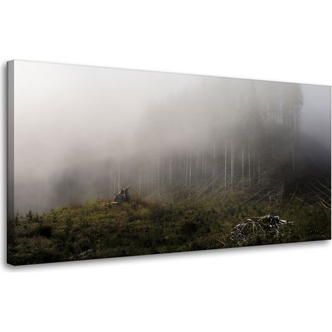 Leinwanddruck Natur Nebel im Wald 80x40 cm