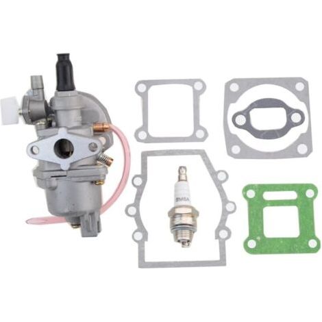 13 mm carburetor with gasket and spark plug for 47 cc and 49 cc two-stroke engines--DTEKGAZ (1/4)
