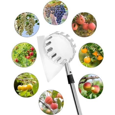 4M Cueilleur de Fruits avec Manche Télescopique, Acier Inoxydable, Outil Cueilleur de Fruits (1/3)