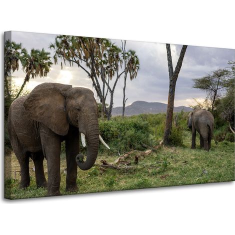 Lienzo impreso con animales, elefantes y sabana, 100x60 cm.