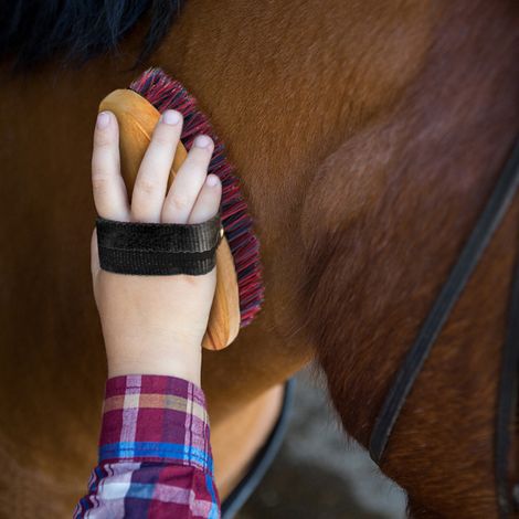 Ensemble d'outils de toilettage pour chevaux 10 en 1, Kit de nettoyage, peigne à queue de crinière, brosse à curry, grattoir à sueur, épurateur à sabot (1/5)