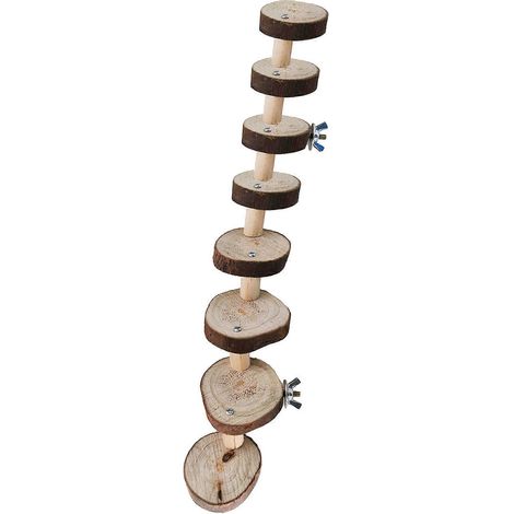 Accessoires pour cage : inséparables, gerbilles, rats, chinchillas, écureuils, oiseaux, perchoir d'exercice - 8 (1/5)