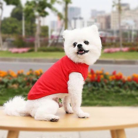 Ropa de verano para mascotas, para perros pequeños y medianos, camiseta de algodón lisa, accesorios para perros, artículos para mascotas, chaleco para gatos, camisetas rojas (1/5)