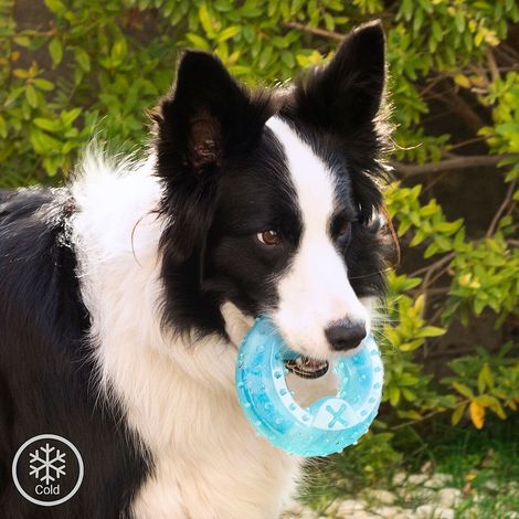 Giocattolo da mordere congelabile per animali domestici 2 in 1 glubiz innovagoods (1/5)