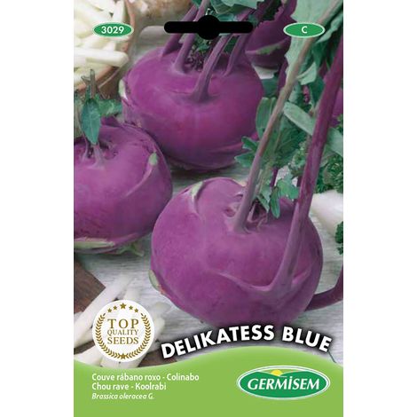 Graines Chou rave DELIKATESS BLUE