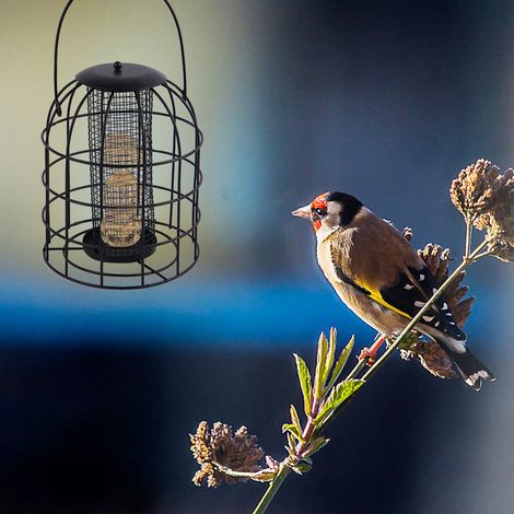 Mangeoire pour Oiseaux Cage en Métal Dispenseur de Graines Colonne de Nourriture Suspendue (1/5)