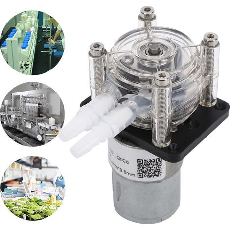 Pompe péristaltique à grand débit, pompe doseuse de haute qualité pour aquarium et laboratoire, 500 ml/min, 12 V (1/5)