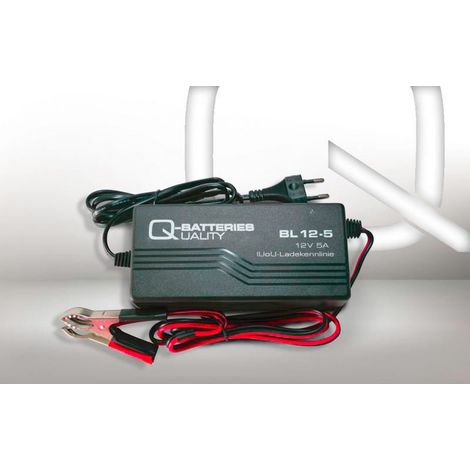 Cargador de baterías 12v 5A, para todo tipos de baterías