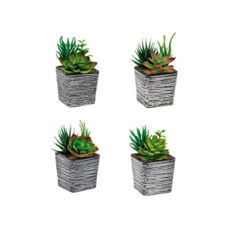 VASO CON PIANTE GRASSE 8X8XH14CM IN 4 COLORI (1/5)