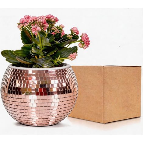 Pot de Fleurs Boule de Disco Rose Dorée, Vase Boule de Disco, Pot de Plantes, Pot de Fleurs, Support de Plantes à Miroir, Pot de Fleurs Auto-Arrosant en Plastique pour Petite Plante, Décor de (1/5)