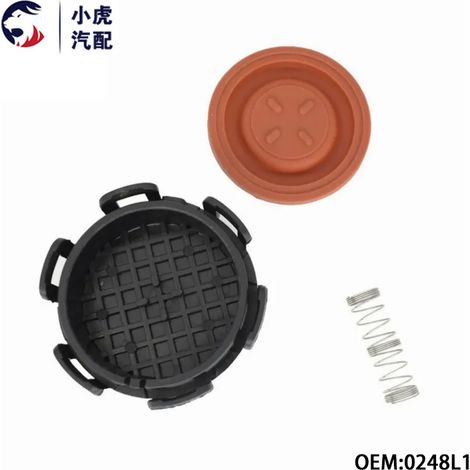 0248L1 ist geeignet für Ventildeckel und Auslassventile der Modelle Peugeot 206, 207, 307, 308, Citroen C2 und C5. (1/5)