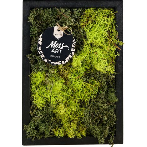 Bloomique - Tableau Mousse - Rectangulaire - Sans Entretien - Décoration Murale - En vraie mousse - 17 cm x 24 cm