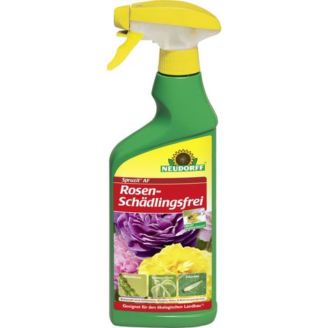 Spruzit AF Rosen-Schädlingsfrei 500 ml Schädlingsbekämpfung (1/3)