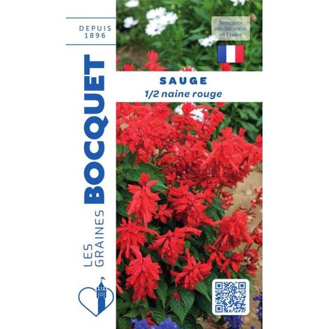 Sauge demi naine rouge - 0,3g