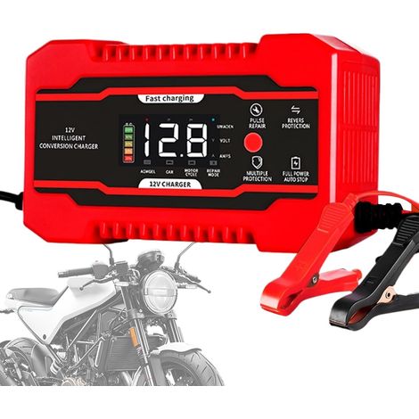 Chargeur d'entretien pour Batterie de Voiture - Chargeur à Impulsions 12V (1/5)