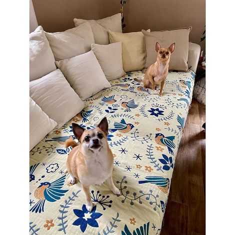 Boho-Überwurfdecke für Bett, Couch, 100 % Baumwolle, gewebte Bettüberwürfe für alle Jahreszeiten, leicht und weich, gemütlich, Bauernhaus, wendbar, Musselin, dekorative Decke für Reisen, Picknick,
