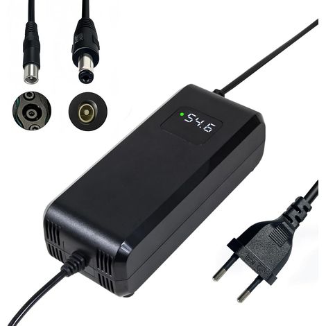 Chargeur Batterie 54.6V 4A, pour Batterie Lithium 48V, avec Affichage LED et Multiples Fonctions de Protection et de réparation, équipé de connecteurs RCA 8mm, DC 5.5  2.1mm (1/5)