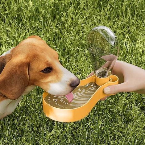 Comedero portátil 2 en 1 para mascotas: comedero y bebedero con cierre a presión para perros y gatos, comedero compacto y práctico (naranja) (1/5)