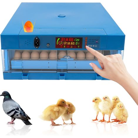 Incubadora de pollos totalmente automática, incubadora de pollos con función de giro de huevos y pantalla LED de temperatura para criar pollos, patos, gansos, palomas, 80 W (1/5)