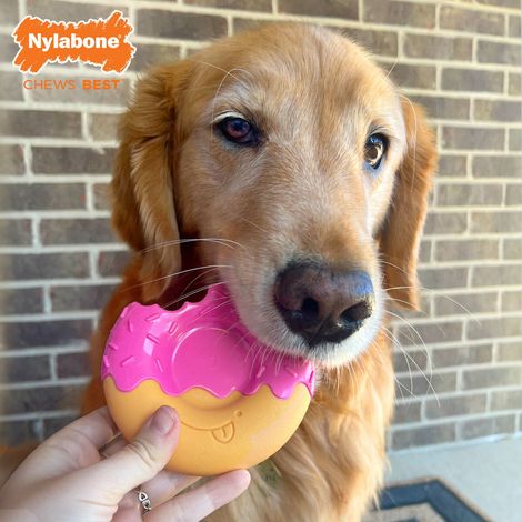 Giocattoli per cani Nylabone Rosa Bacon L (1/4)