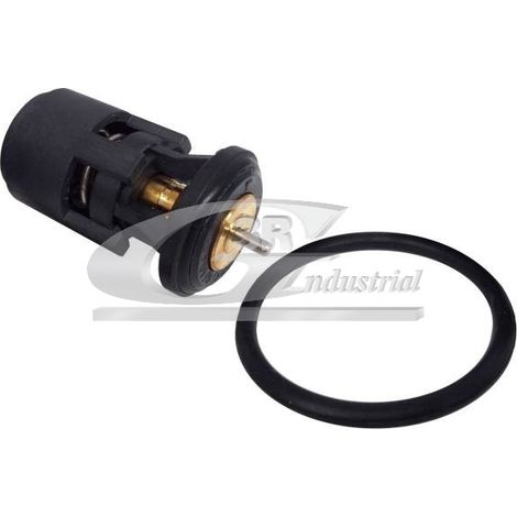 3RG 81762 TERMOSTATO